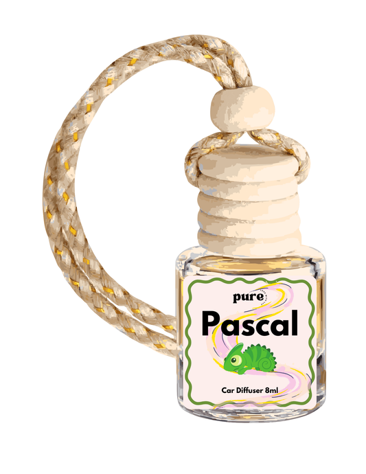 Pascal Car Diffuser